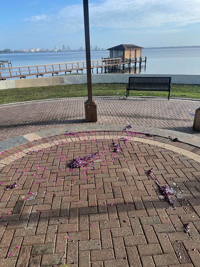 No dejéis así los parques públicos