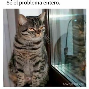 nuriramos avatar