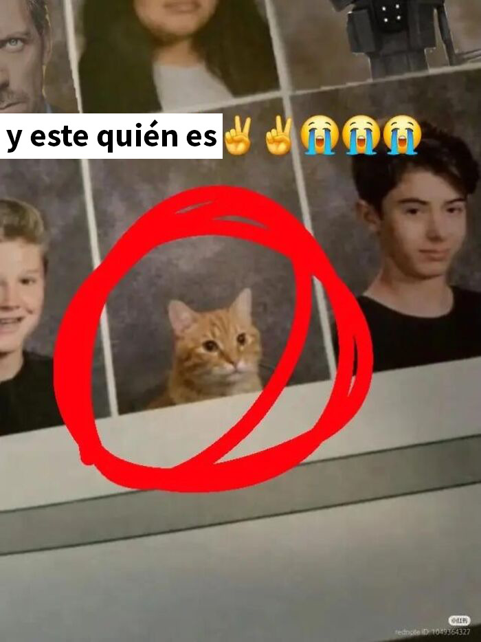 82 Memes That Feel Like They Were Made During A Fever Dream