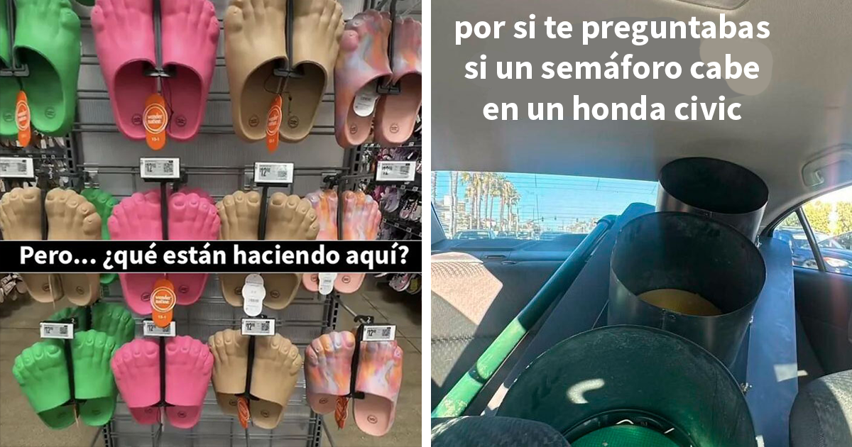 22 Memes que parecen haber sido creados durante un sueño febril