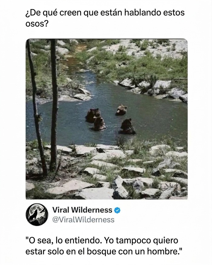 Cuatro osos en un río mostrando lo fascinante de los animales y la naturaleza