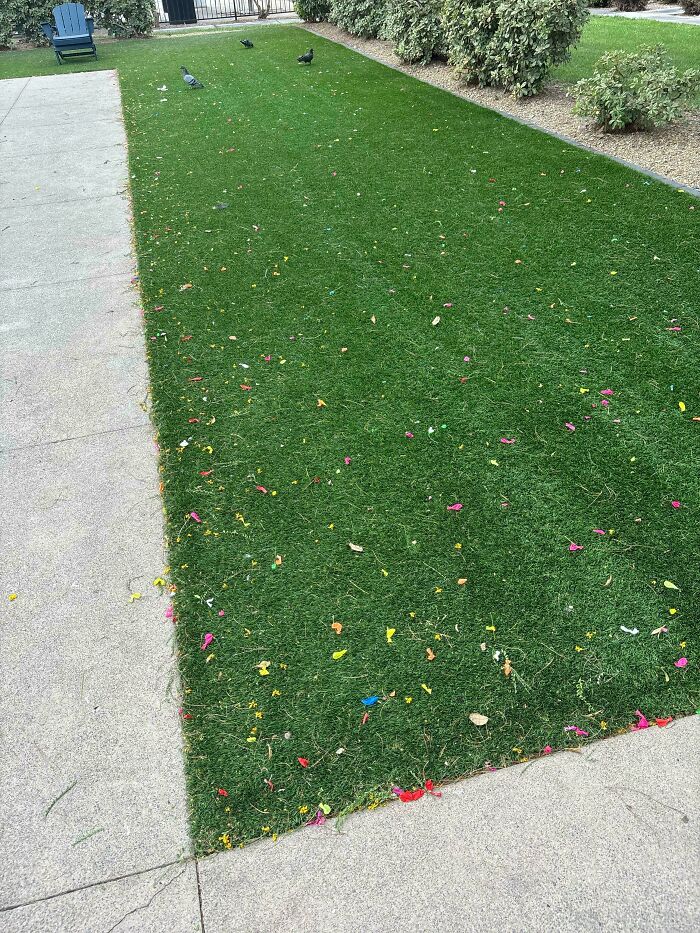 Césped lleno de basura tras una fiesta de revelación por personas que actúan como egocéntricos.