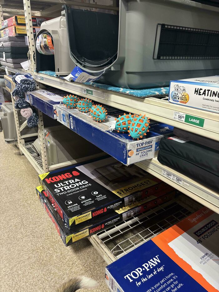 Juguetes para perro y cajas apiladas en el estante de una tienda de mascotas.