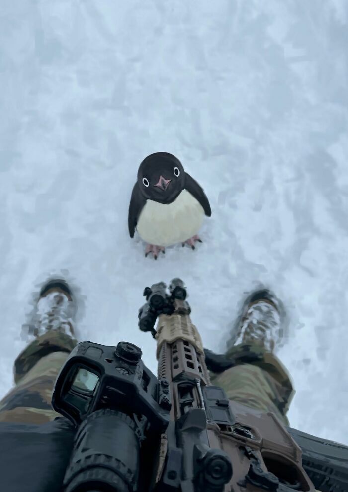 Pequeño pingüino curioso sobre la nieve en tiernas imágenes de animales.