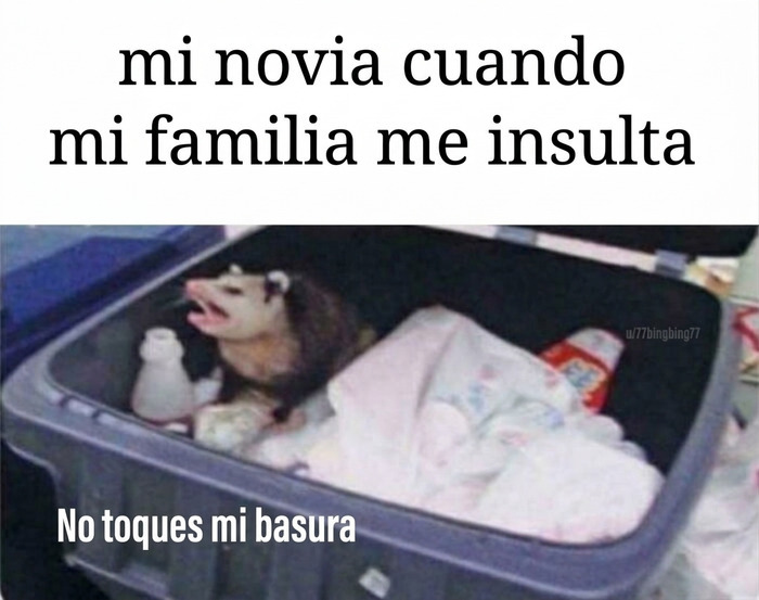 Meme divertido de un tlacuache defendiendo su basura que representa a una novia celosa.