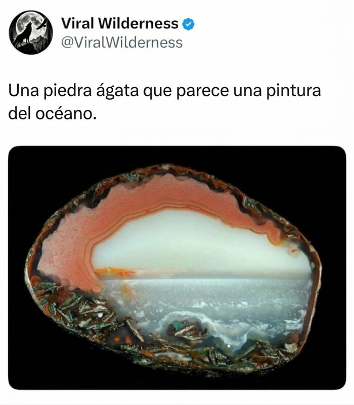 Piedra ágata natural que parece pintura del océano, momentos fascinantes de animales.