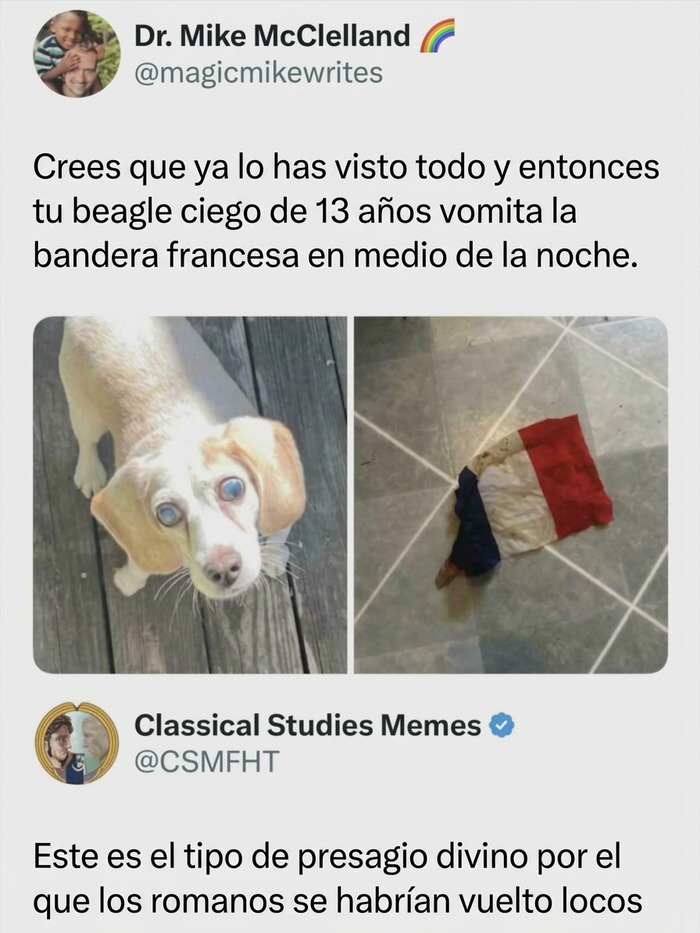 Perro junto a una bandera francesa en el suelo, perfecto para publicaciones divertidas para ayudar a relajarte.