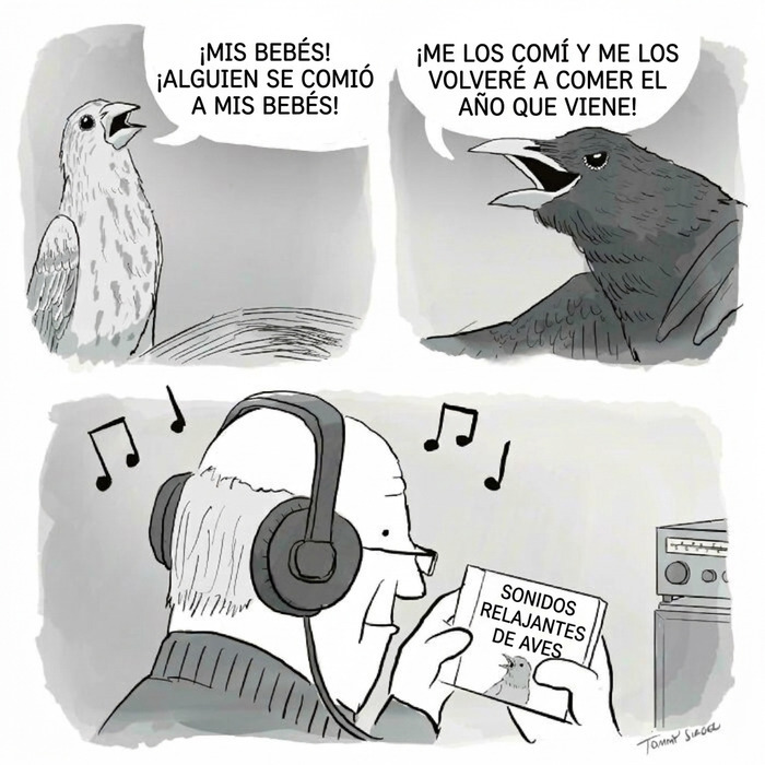 Comic divertido sobre sonidos de aves silvestres para relajarte