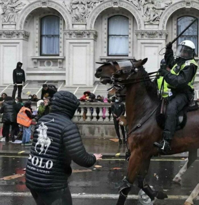 Policía a caballo y manifestante con chaqueta de marca, una de las publicaciones divertidas para ayudarte a relajarte