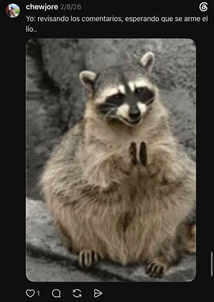 Meme de un mapache frotándose las manos sobre una foto que se vuelve viral Meme de un mapache frotándose las manos sobre una foto que se vuelve viral