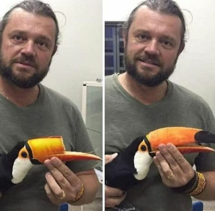 Hombre sosteniendo a un tucan con una protesis de pico impresa en 3D, cosas tan curiosas y maravillosas.