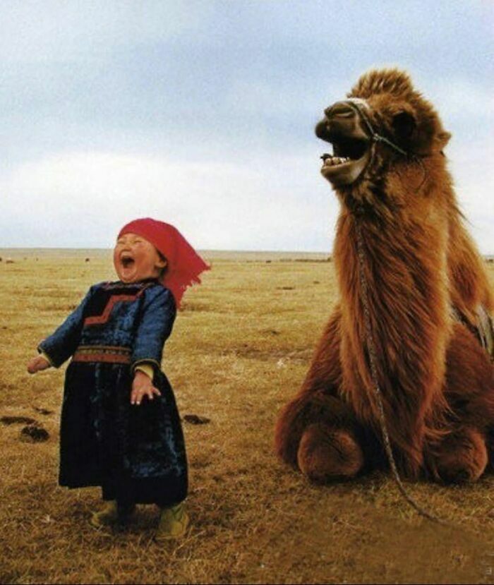 Niña mongola y un camello riendo juntos en el campo, cosas tan curiosas como maravillosas del mundo.