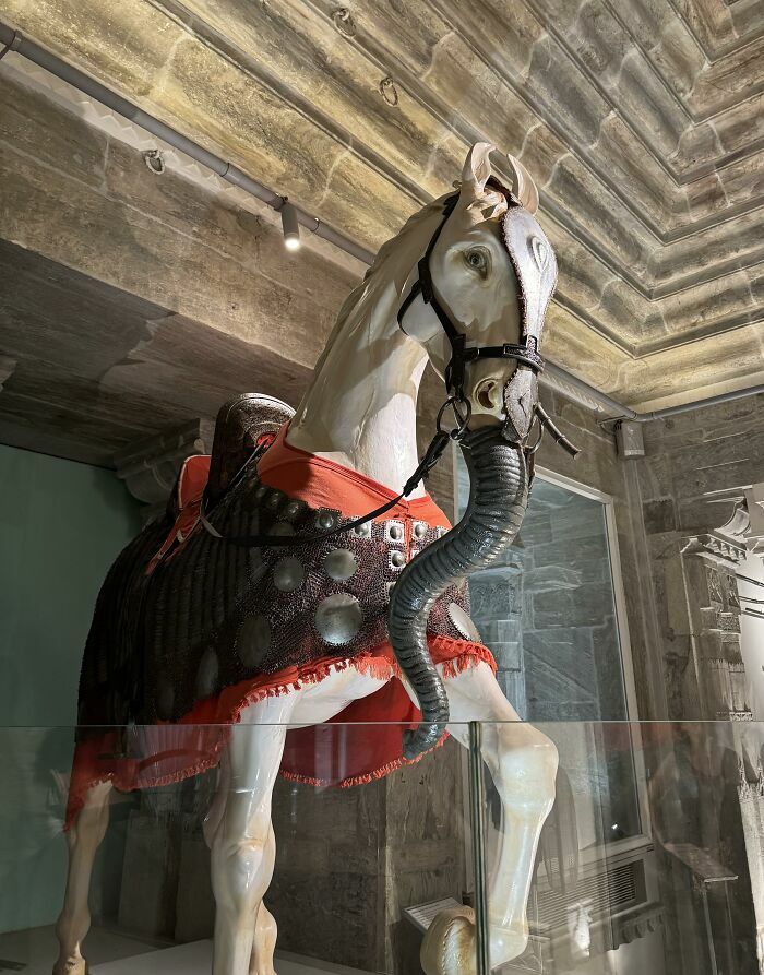 Estatua de caballo con trompa, una de las cosas curiosas compartidas en la comunidad online.