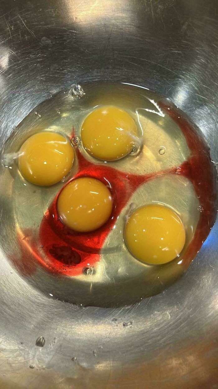 Yemas de huevo rotas con sangre en un tazón, un mal día en la cocina que puede empeorar