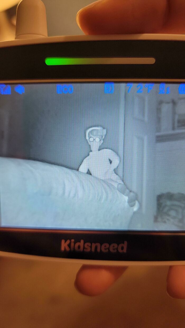 Novias y esposas asustadas por un peluche que parece un fantasma en el monitor