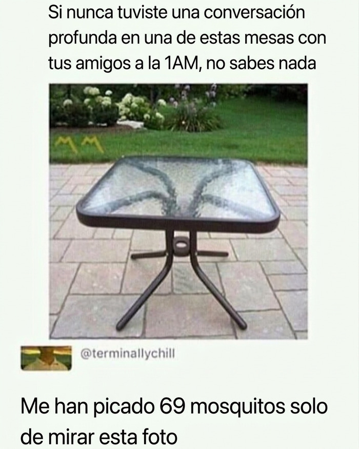 Meme sobre mesa de patio exterior y la gran cantidad de mosquitos en Florida