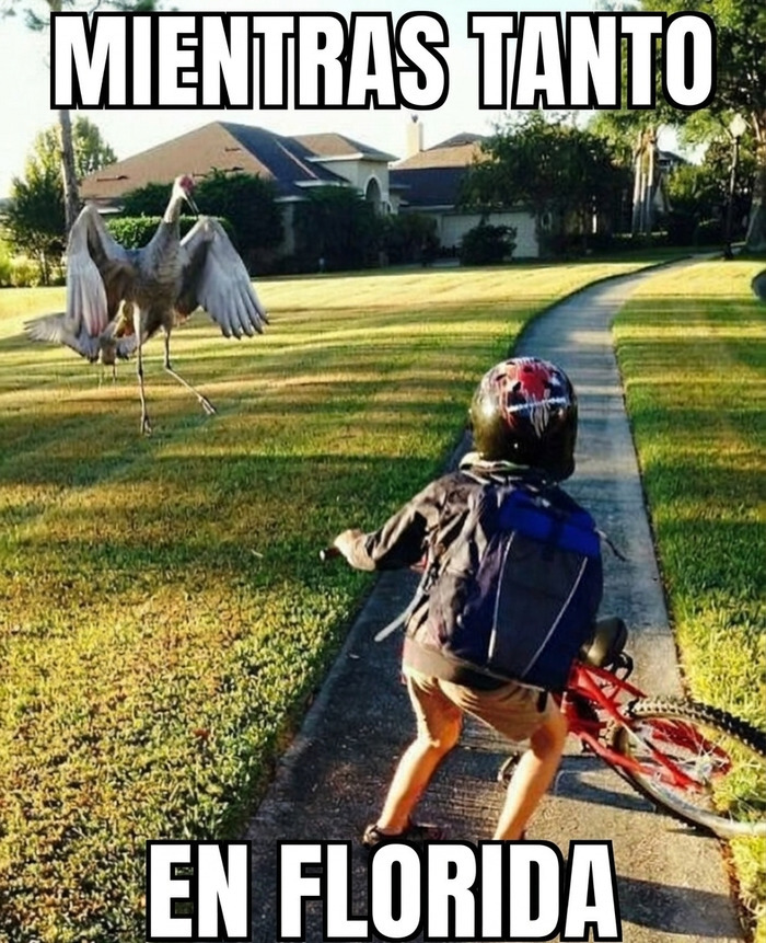 Niño en bicicleta frente a un ave gigante mostrando la locura que se vive en Florida.