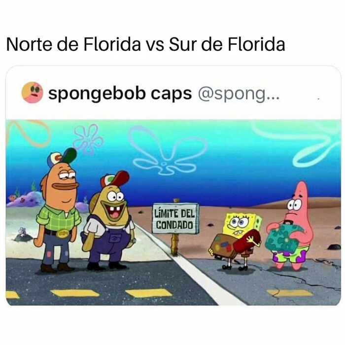 Divertida comparación de Bob Esponja que ilustra la locura que se vive en Florida.