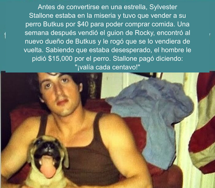 Datos curiosos sobre Sylvester Stallone junto a su querido perro Butkus durante su juventud.