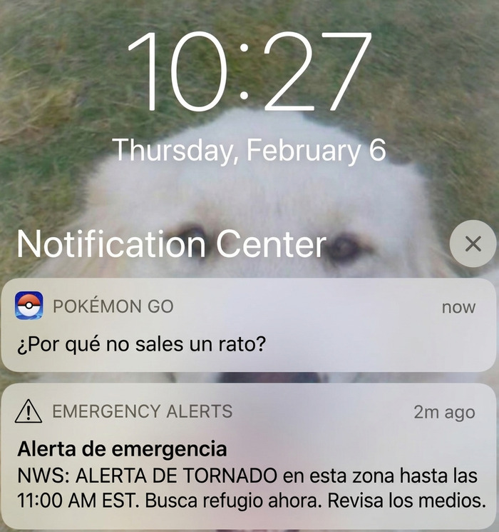 Alerta de tornado y notificación de Pokémon GO que causan risa y vergüenza ajena