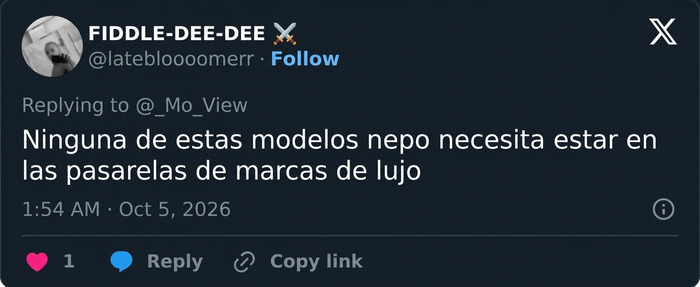 Captura de pantalla de una crítica en redes sobre el talento y el nepotismo de las modelos en la pasarela Captura de pantalla de una crítica en redes sobre el talento y el nepotismo de las modelos en la pasarela