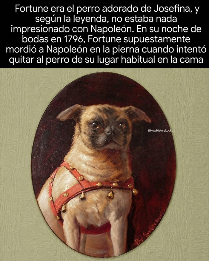Retrato de Fortune, el perro de Josefina Bonaparte en fotos históricas