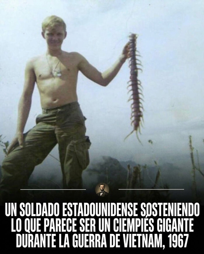 Soldado en Vietnam con ciempiés gigante, datos curiosos de la historia