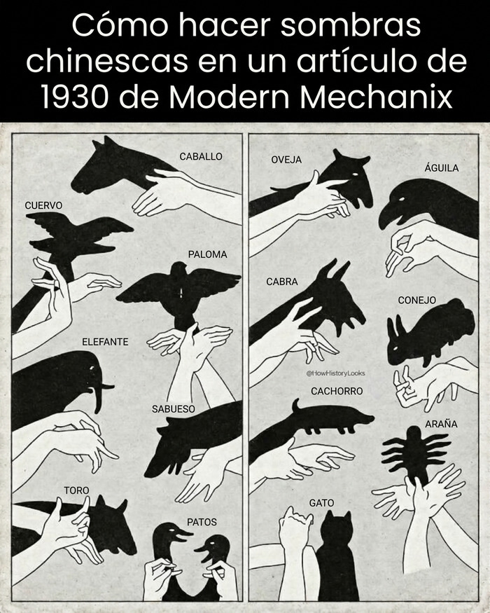 Guía de fotos históricas de sombras chinescas de animales de 1930