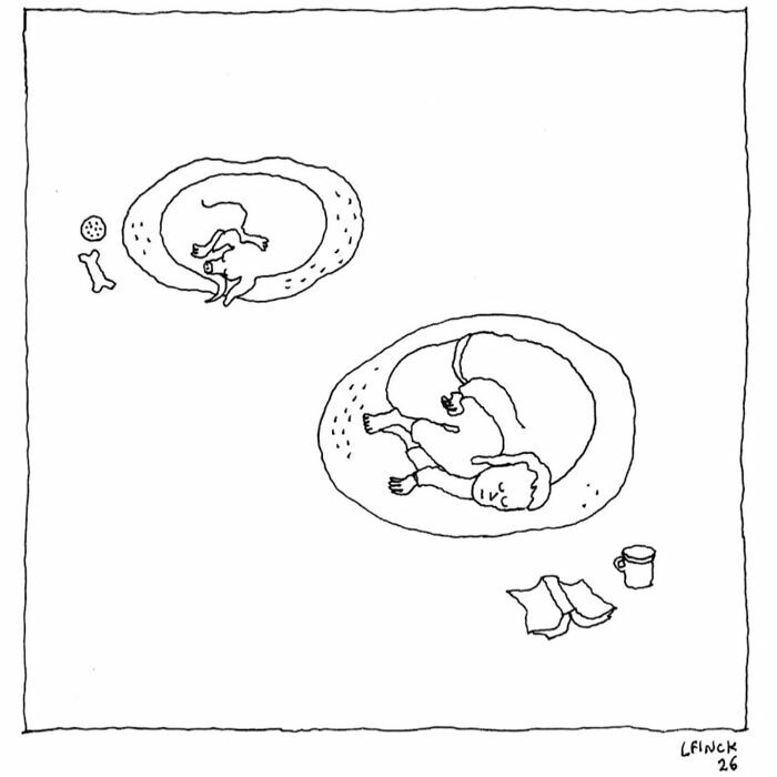Dibujo de un perro y su dueño durmiendo en camas iguales de ilustraciones ingeniosas sobre la vida moderna