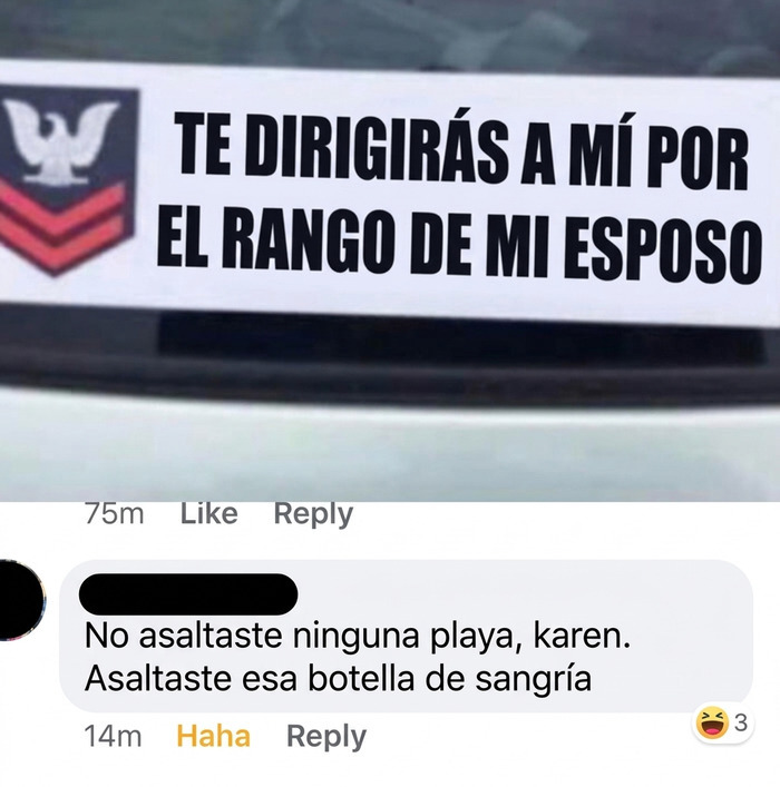 Imagen de calcomanía de coche prepotente y comentario gracioso sobre Karens.