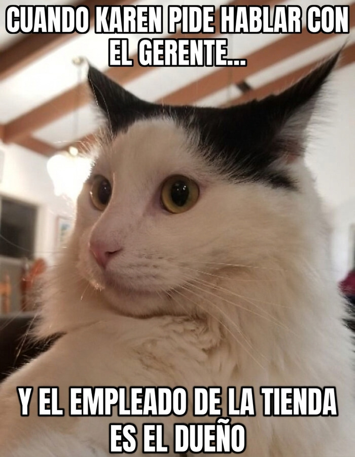 Meme de gato con orejas puntiagudas asustado al enterarse de que el empleado es el dueño y no una de las Karens.