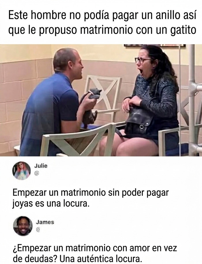 Propuesta de matrimonio con un gatito, un ejemplo de publicaciones reconfortantes llenas de amor sincero