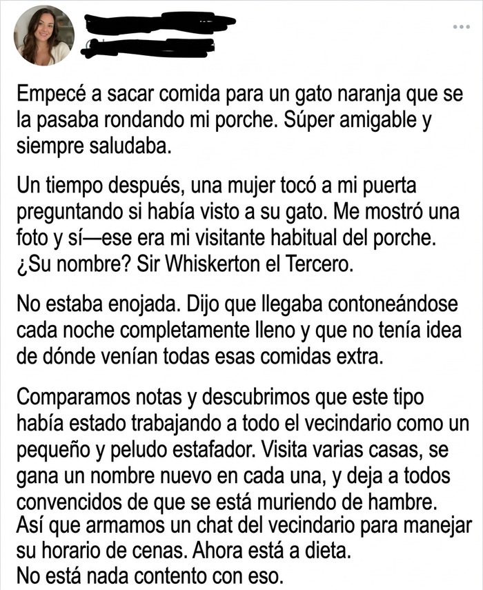 Anécdota para publicaciones reconfortantes sobre un astuto gato naranja que pide comida en el vecindario