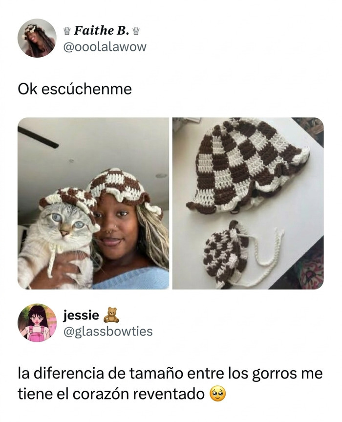 Gato y su dueña con gorros de crochet a juego en publicaciones reconfortantes.