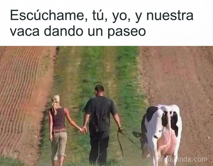 Meme sobre paletos americanos con una pareja caminando por el campo con su vaca.