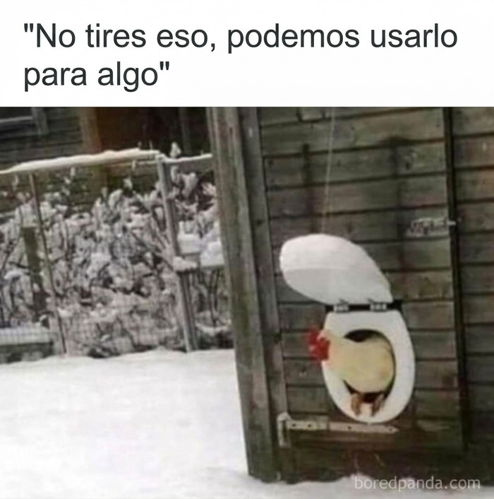 Meme sobre paletos americanos que usan un asiento de inodoro como puerta para gallinas.