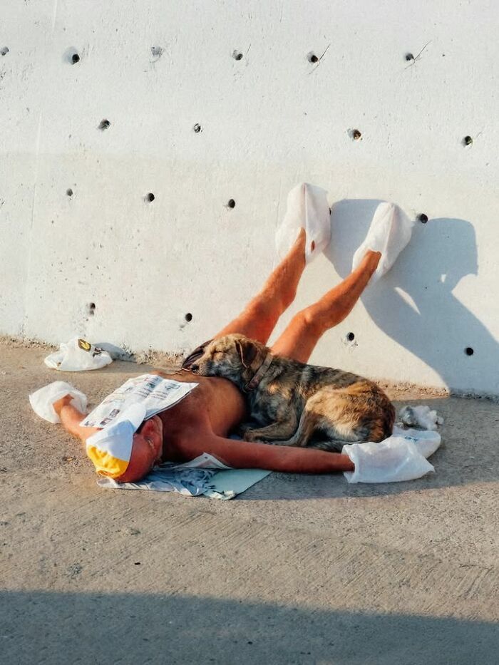 Hombre y su perro descansando en el suelo durante una inusual escena callejera al aire libre.