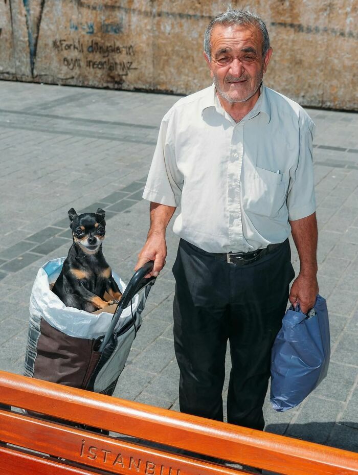 Hombre paseando a su perro en un carrito durante una curiosa escena callejera urbana.