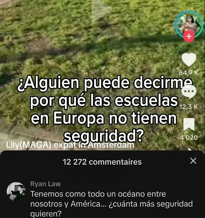 Captura de pantalla con comentarios sarcásticos en redes, un ejemplo de insultos salvajes en Internet.