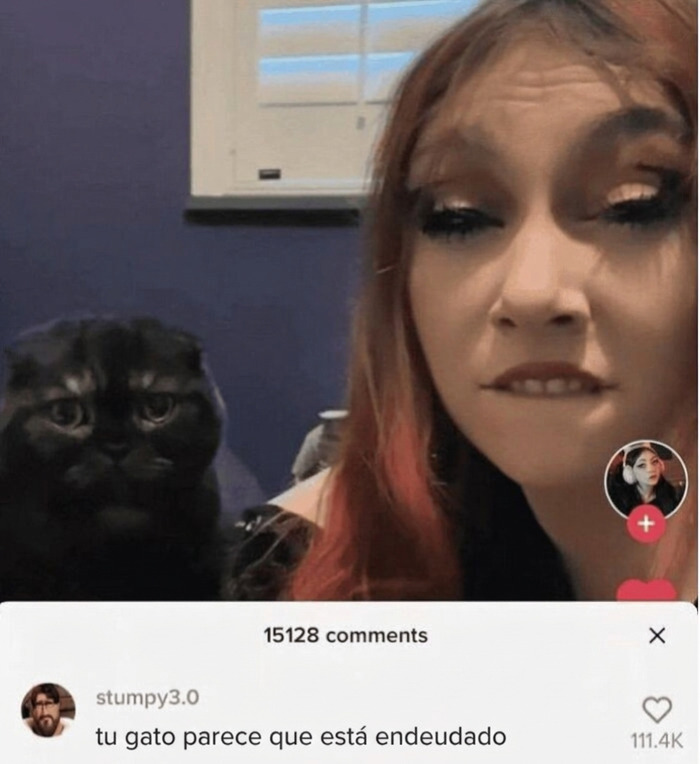 Gato negro y mujer en TikTok ilustrando insultos salvajes de internet