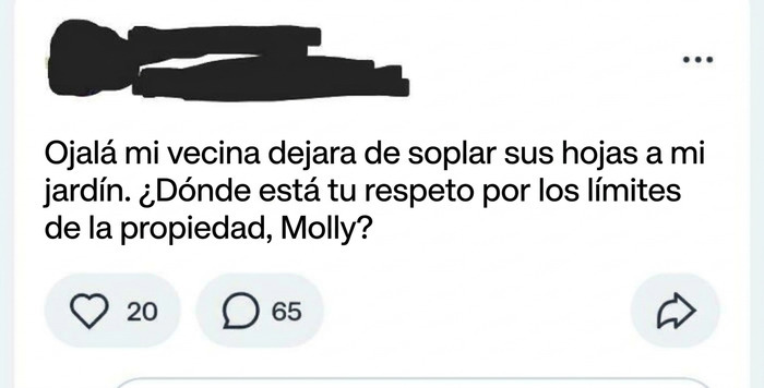 Captura de pantalla con quejas de vecinos sobre el respeto a los límites de la propiedad.
