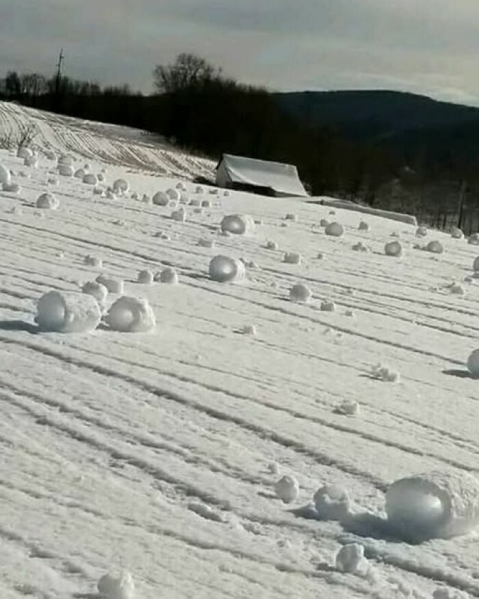 Campo cubierto de nieve con rodillos naturales, una escena curiosa entre las imágenes divertidas.