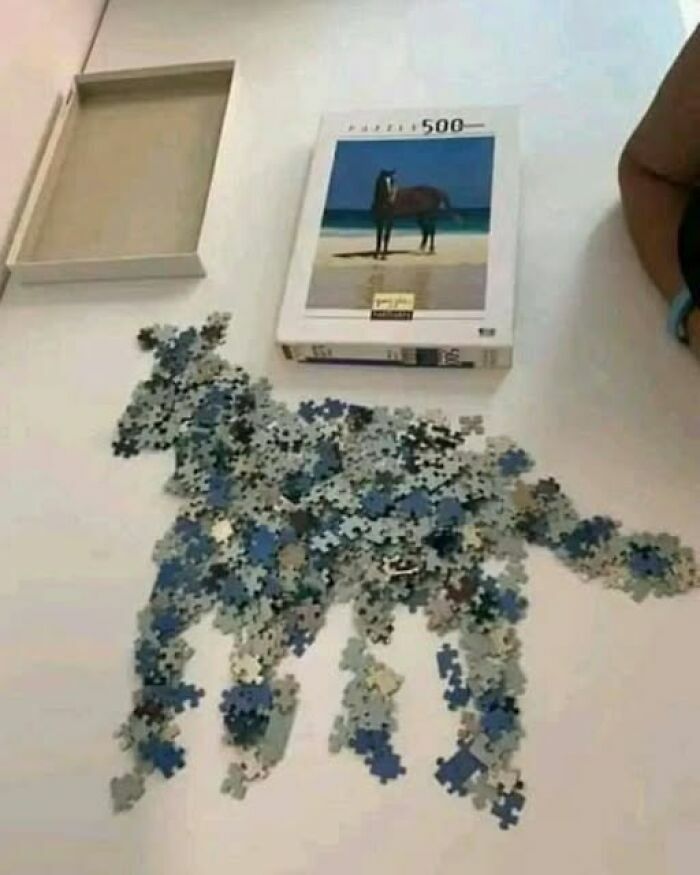 Piezas de rompecabezas organizadas con forma de caballo, una de las imágenes divertidas y disparatadas.