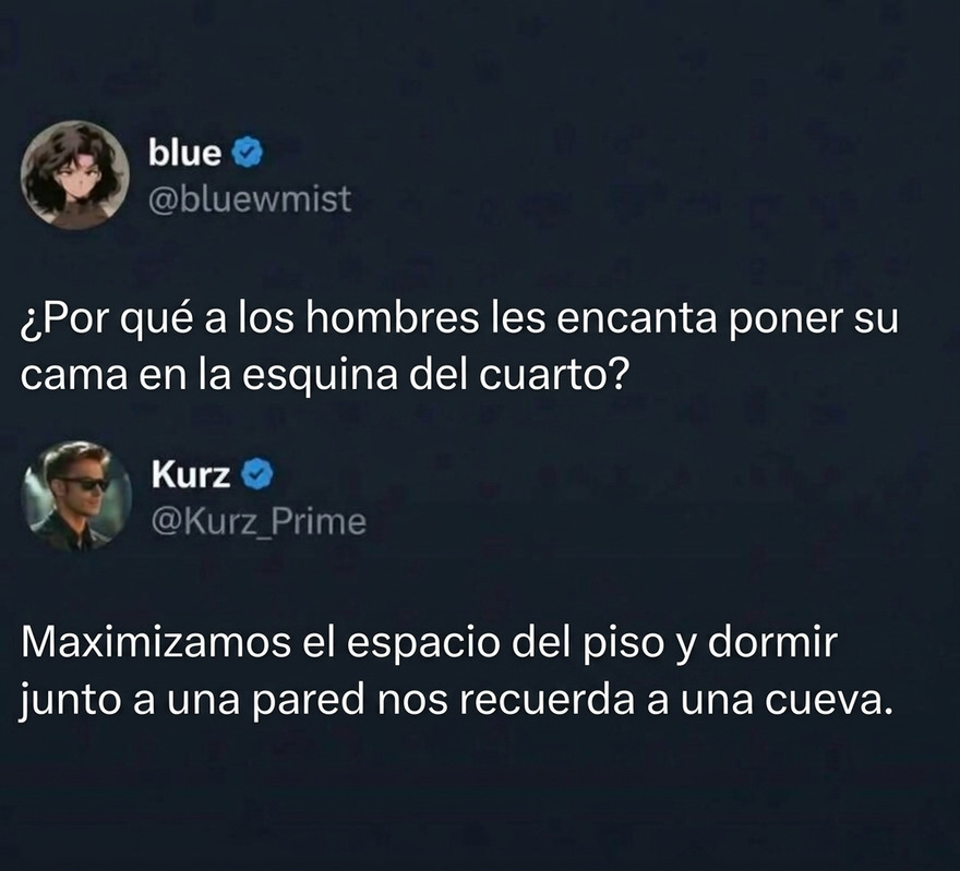 Captura de pantalla de un tuit sobre hombres y sus camas, parte de estas imágenes confusas y divertidas con texto.