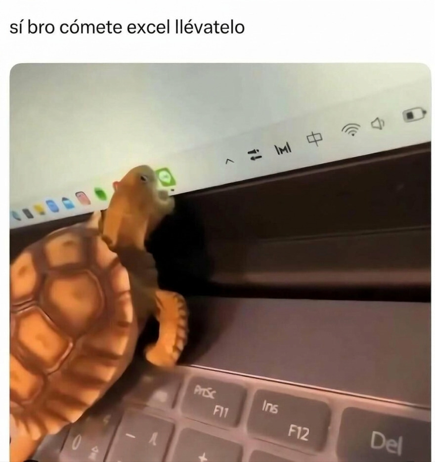 Tortuga mordiendo la pantalla de una laptop, entre imágenes confusas y divertidas.