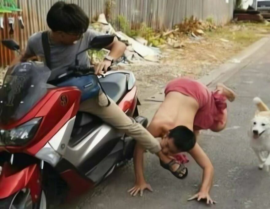 Escena caótica de un joven cayendo de una moto junto a un perro, una de las imágenes confusas y divertidas