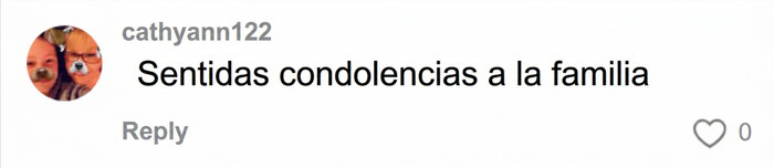 Condolencias para familia tras accidente de monta&ntilde;a rusa