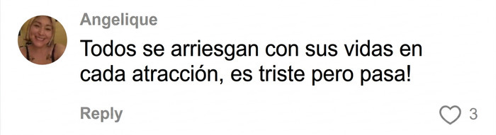 Comentario sobre riesgo de vida en monta&ntilde;as rusas