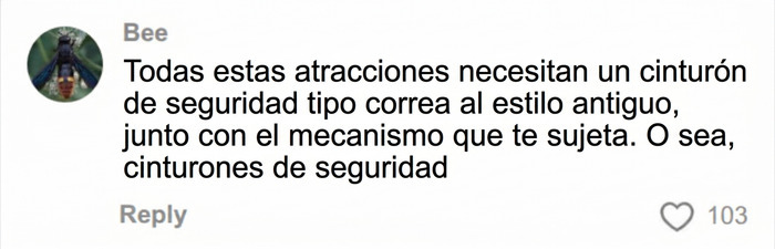 Comentario pidiendo cinturones de seguridad en monta&ntilde;a rusa