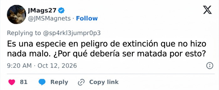 Salen a la luz nuevos detalles sobre los últimos momentos de este hombre que murió tras arrojarse al recinto de un tigre Salen a la luz nuevos detalles sobre los últimos momentos de este hombre que murió tras arrojarse al recinto de un tigre